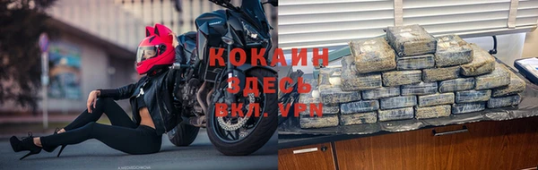 шишки Арсеньев
