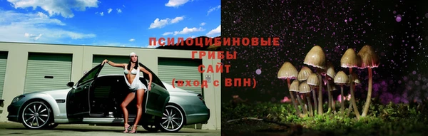 СК Армянск