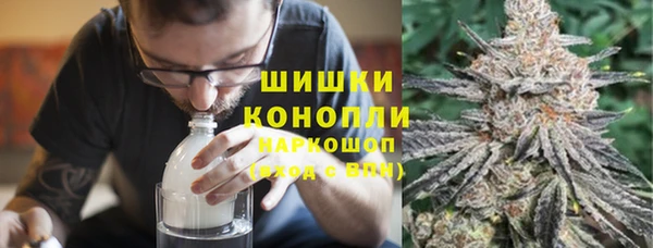 ГАЛЛЮЦИНОГЕННЫЕ ГРИБЫ Аркадак