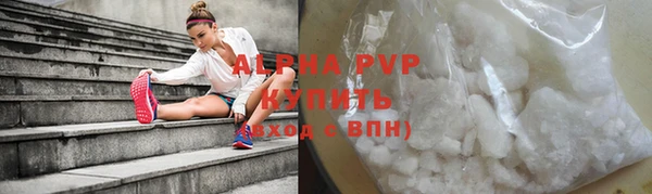шишки Арсеньев