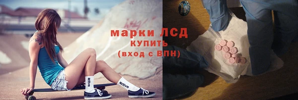 шишки Арсеньев