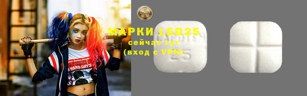 ГАЛЛЮЦИНОГЕННЫЕ ГРИБЫ Аркадак