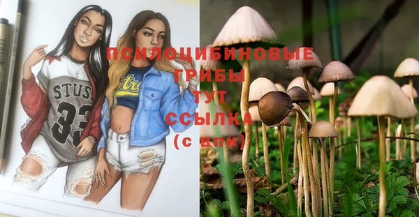 ГАЛЛЮЦИНОГЕННЫЕ ГРИБЫ Аркадак