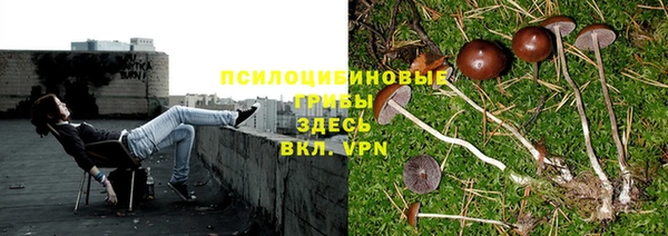 дживик Сосновоборск