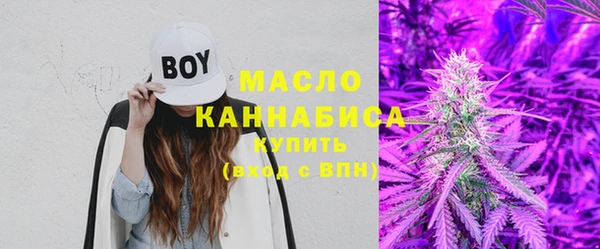 шишки Арсеньев