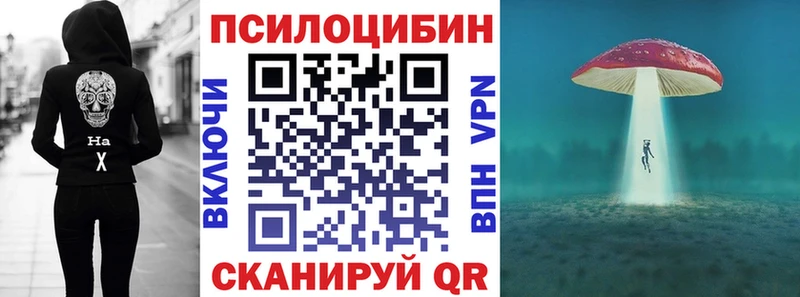 купить  сайты  Валдай  МЕГА как войти  Псилоцибиновые грибы MAGIC MUSHROOMS 
